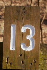Number 13, lucky or unlucky, at Congaree National Park, South Carolina, USA