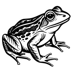 frog