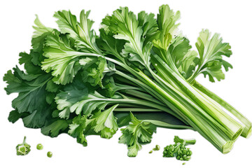 Celery pattern isolated. PNG transparency.