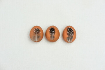 Homemade fresh eco eggs with quail feathers on light background. Top view, space for text.