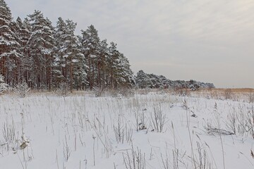 Winter landscape view at seashore with snow on the ground in cloudy weather, Kallahdenniemi,...