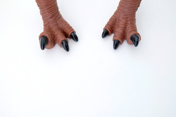 Toy dinosaur feet made from rubbery plastic with black toes and brown legs shot against a white background.