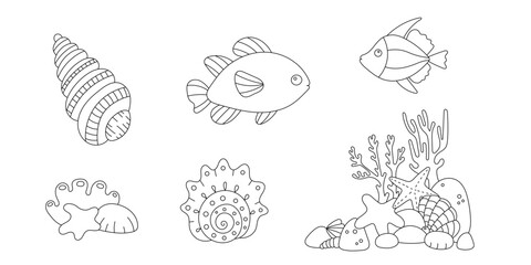 Line art coloring page. Coloring activity for children and adults. Cute fish, seashell, and seastar.  Vector doodle. - 781331636