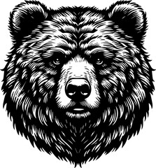 Bear head Illustration