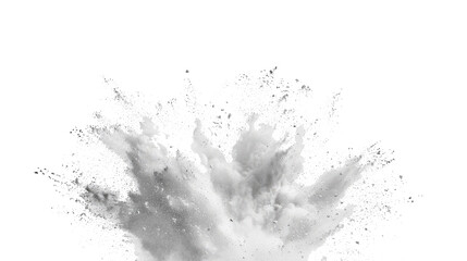 bright white paint color powder festival explosion burst isolated white background.	 - obrazy, fototapety, plakaty