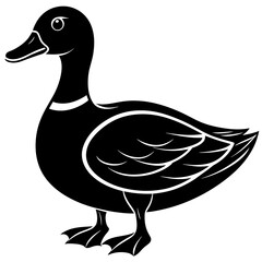 duck isolated on white