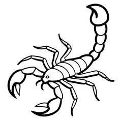 scorpion isolated on white background