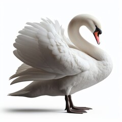 Image of isolated swan against pure white background, ideal for presentations
