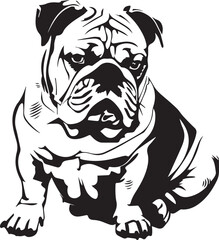 lovely english bulldog portrait