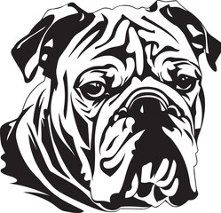 portrait of a English Bulldog dog