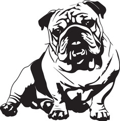 english bulldog with tongue portrait