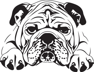 peeking English bulldog portrait