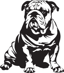 cute english bulldog portrait