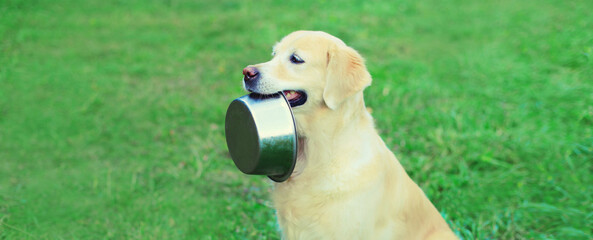 Golden Retriever dog holds empty bowl in teeth asking for food in summer park