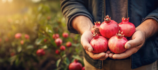 Ripe pomegranates are part of the agricultural yield, showcasing the diversity of the harvest.