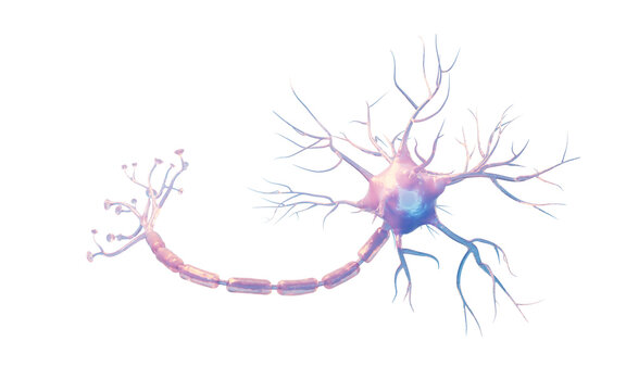 Isolated biology nerve cell, 3d rendering.