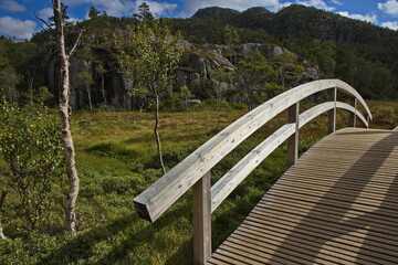 Wooden footbridge on the hiking track to Preikestolen in Norway, Europe
