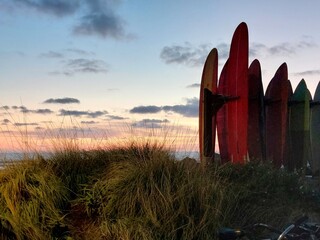 Surfboards at Sunset