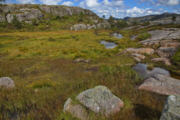 Fototapeta na wymiar Rock formation at the hiking track to Preikestolen in Norway, Europe 