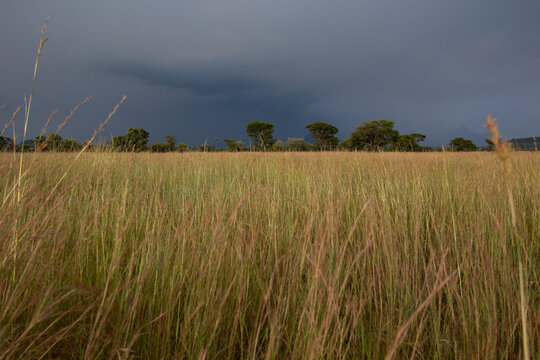 Pian Upe Wildlife Reserve