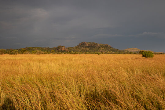 pian upe wildlife reserve