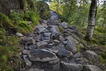 Hiking track to Preikestolen in Norway, Europe
