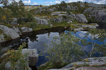 Lake at the hiking track to Preikestolen in Norway, Europe
