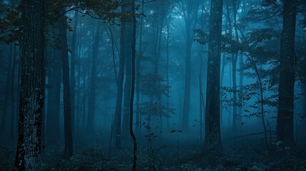 Fototapeta premium Enchanted forest at night with misty background and mysterious fog swirling around the eerie trees