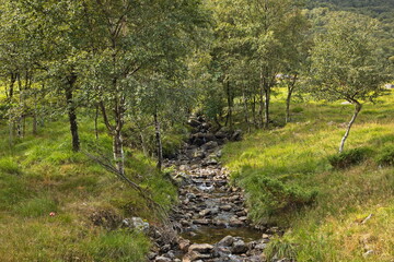 Creek at the lake Tengesdalsvatnet in Norway, Europe
