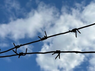Forbidden zone, live barbed wire. Barbed wire against a blue sky. Concept: imprisonment, slavery, captivity