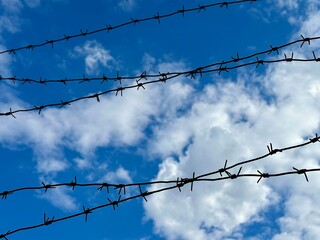 Forbidden zone, live barbed wire. Barbed wire against a blue sky. Concept: imprisonment, slavery,...