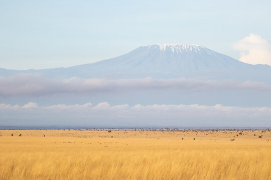 Kilimanjaro as seen from kenya