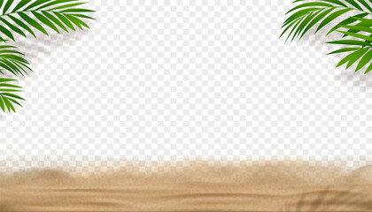 Sand beach texture with coconut palm leaves isolated on transparency background.Vector Horizon Top view brown sea sand,Summer Background for Sale Banner,Template,Seasonal discount