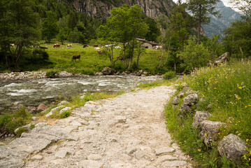 A small path in Val Di Mello