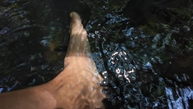 Foot fish spa in the river