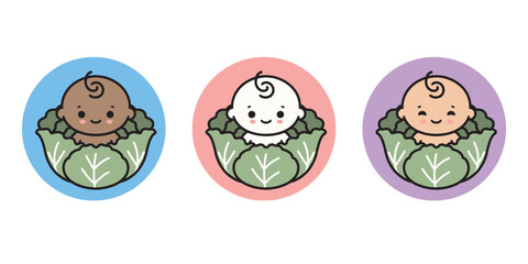baby in cabbage. simple vector illustration, icon, logo. Set