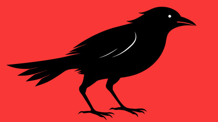 Obraz premium crow on a white background