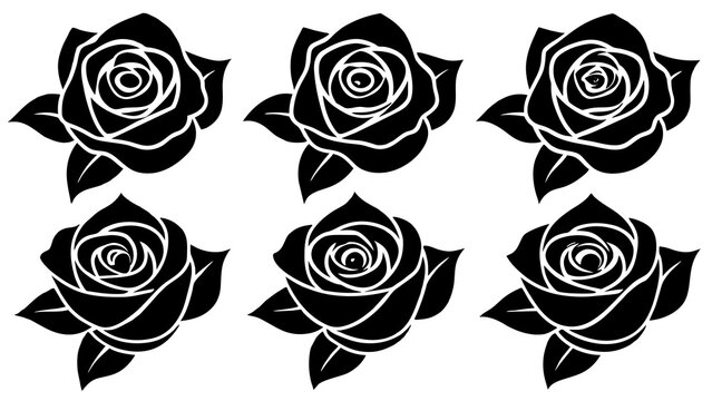 set of black and white roses