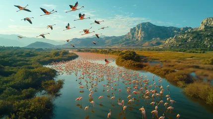 Gordijnen Flamingos. © Janis Smits