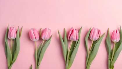Fototapeta premium A neat row of delicate pink tulips stretches across a soft pastel pink background, exuding elegance. Generative AI