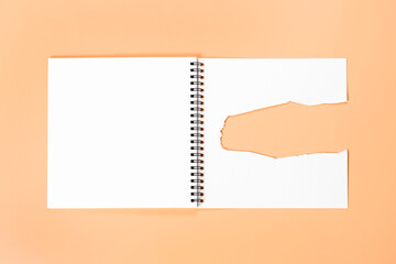 Open notebook with torn page. An empty layout template for spiral notebook on yellow background.