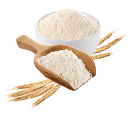 colher de madeira com farinha de trigo branca e pote com farinha de trigo isolado em fundo transparente