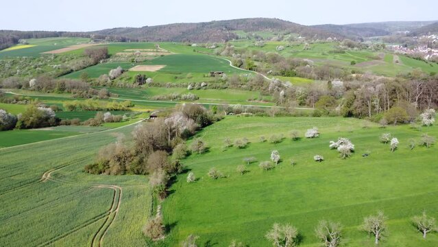 Drohne fliegt über grüne Hügellandschaft im Frühling, mit Feldern, Wiesen, Obstbäumen und Laubbäumen, Luftaufnahme