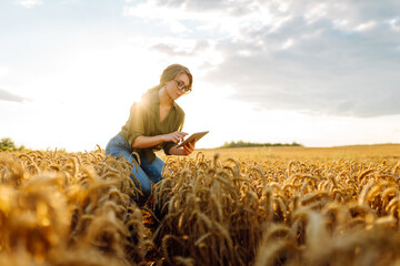 Female farmer using digital tablet in wheat field. Smart farming and digital agriculture.