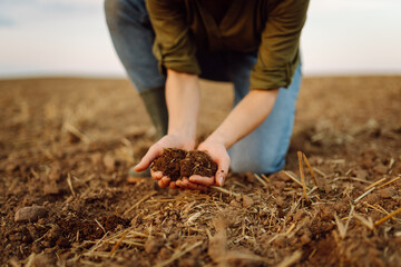Soil in the hands of the farmer woman. Fertile land. Ecology, agriculture concept.