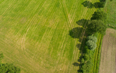 Drohnen Luftaufnahme von diverse Landwirtschaftliche Agrar Felder in Schleswig Holstein Deutschland