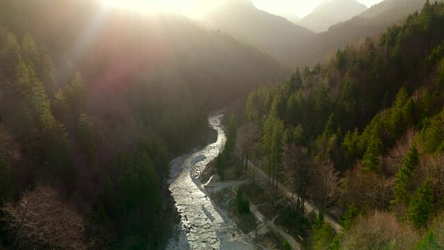 Aerial view of beautiful gorge with mountain river and coniferous forest at sunrise with haze and fog in Germany on Pollat river, Fussen. Drone view of wonderful alpine canyon with river and woods. 