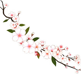 Cherry_Blossom_Wedding_Guest_Design_Line_2D_Illustrati_0.Generative AI