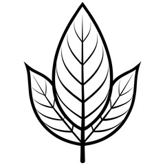 leaf vector illustration