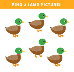 Find 2 same pictures. Puzzle game for children. Preschool worksheet activity for kids. Educational game with cute duck illustration.	